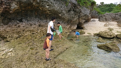 24日・沖縄満喫プラン！